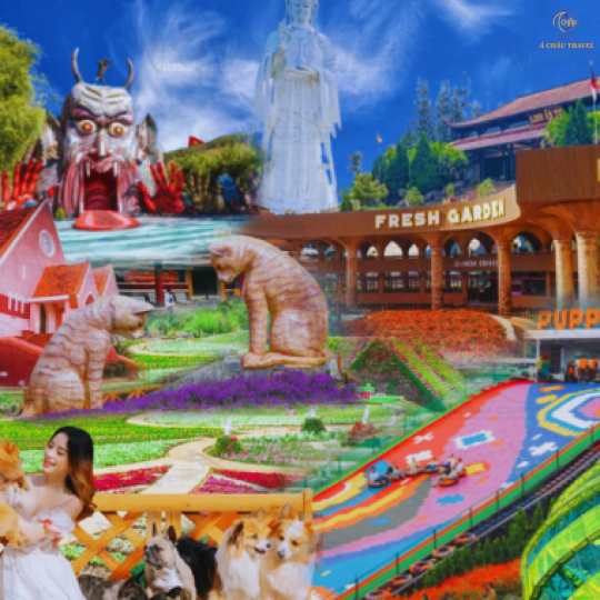 Đà Lạt - Thành phố Hoa và Những Điểm Tham Quan Mới Nhât Hiện Nay