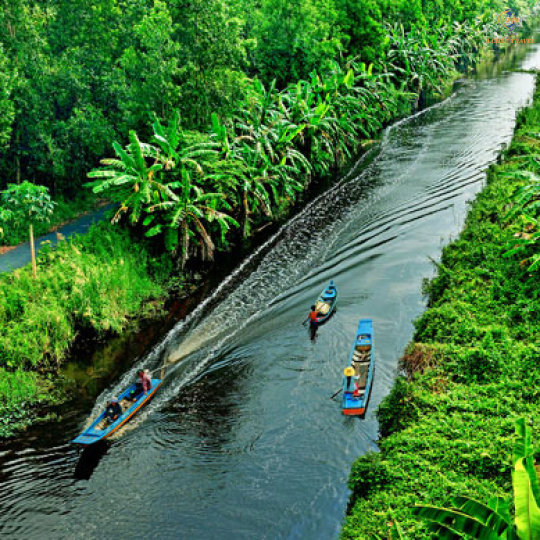 Sài Gòn - Cà Mau - Hòn Đá Bạc - U Minh Hạ - Đất Mũi - Cần Thơ