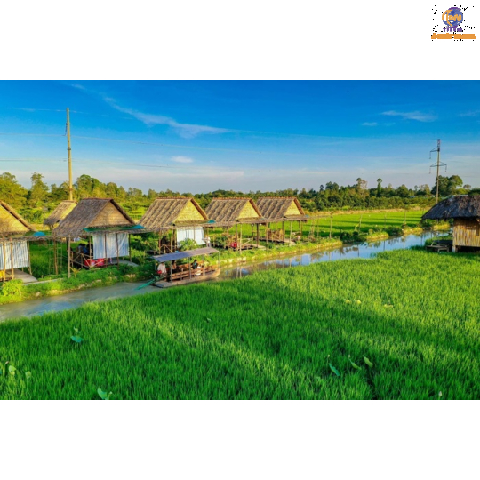 TP. HCM - Mỹ Tho - Bến Tre - Cần Thơ - Chợ Cái Răng 