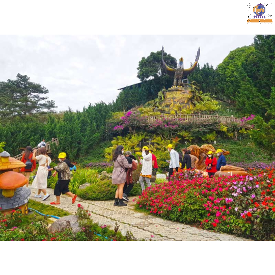 Đà Lạt - Thành phố Hoa và Những Điểm Tham Quan Mới Nhât Hiện Nay