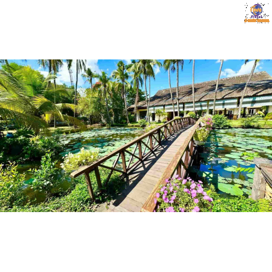 Du Lich Bình Quới 