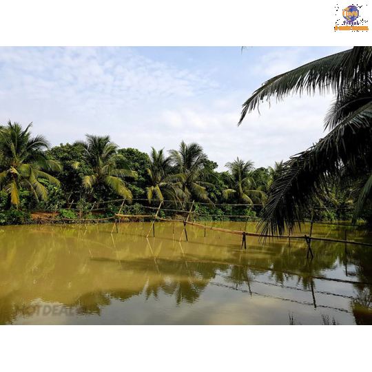 Khu Du lịch Sinh thái Lan Vương 