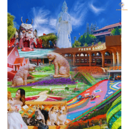 Đà Lạt - Thành phố Hoa và Những Điểm Tham Quan Mới Nhât Hiện Nay