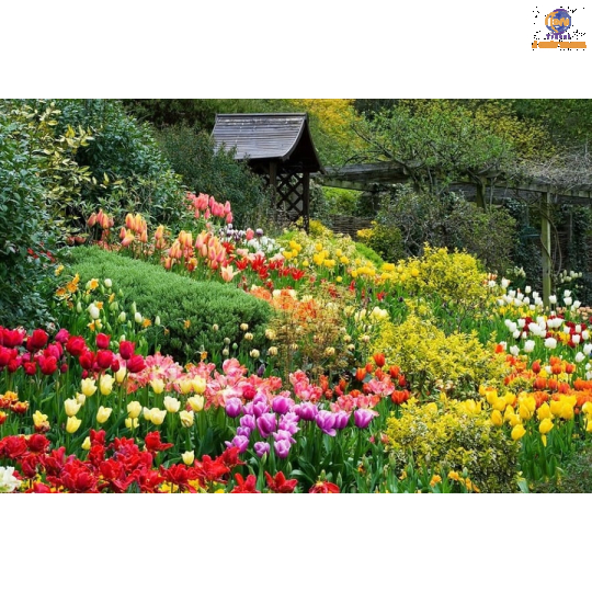 Đà Lạt - Thành phố Hoa và Những Điểm Tham Quan Mới Nhât Hiện Nay