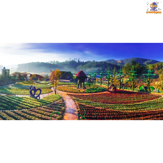 Đà Lạt - Thành phố Hoa và Những Điểm Tham Quan Mới Nhât Hiện Nay