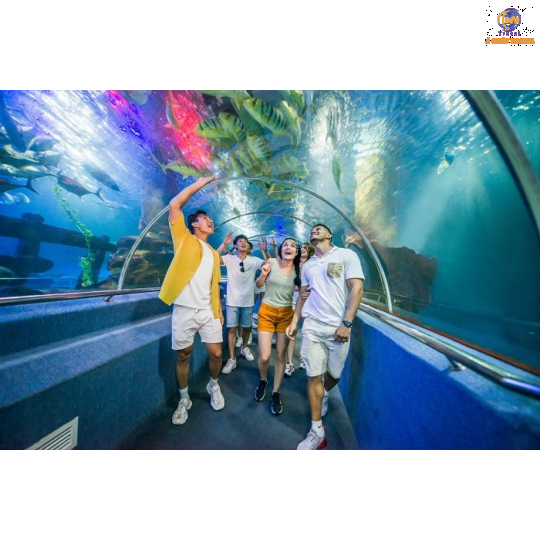 Vinpearl Harbour - Vịnh San Hô - Làng Chài - Hồ Cá Trí Nguyên