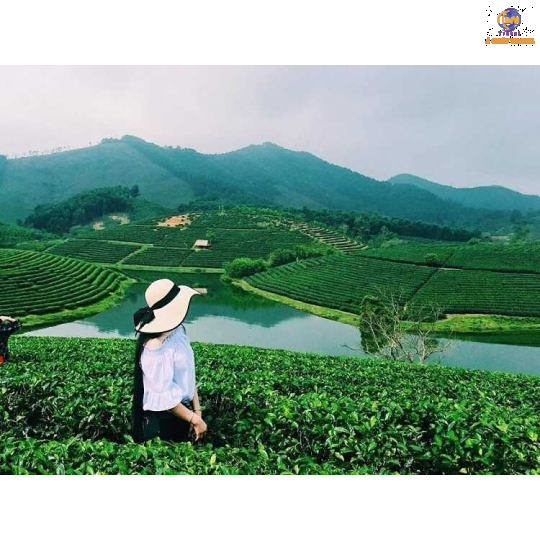 Hà Nội - Biển Cửa Lò - Nghệ An - Thanh Hoá - Sầm Sơn