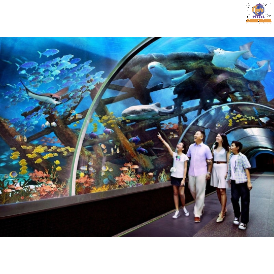 Vinpearl Harbour - Vịnh San Hô - Làng Chài - Hồ Cá Trí Nguyên