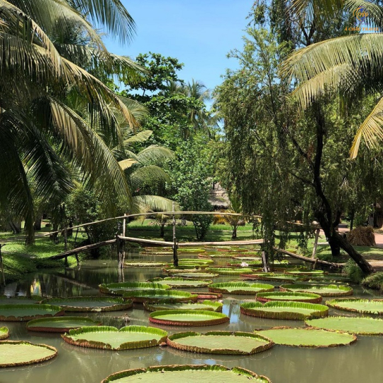 Du Lich Bình Quới 