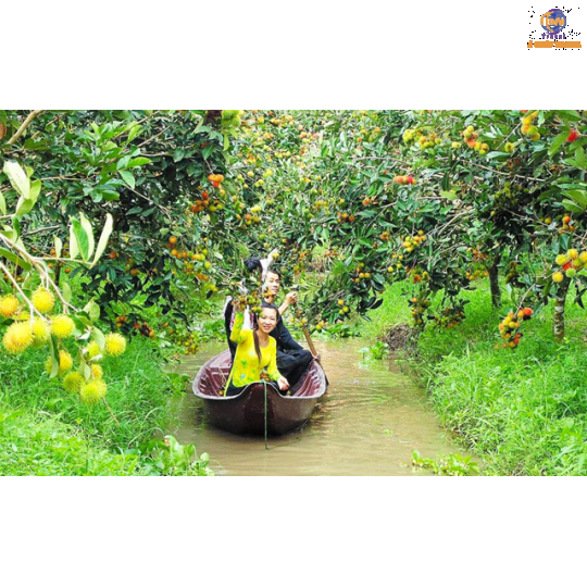 TP. HCM - Tiền Giang - Bến Tre -  Năm Căn - Cà Mau - Bạc Liêu - Sóc Trăng - Cần Thơ