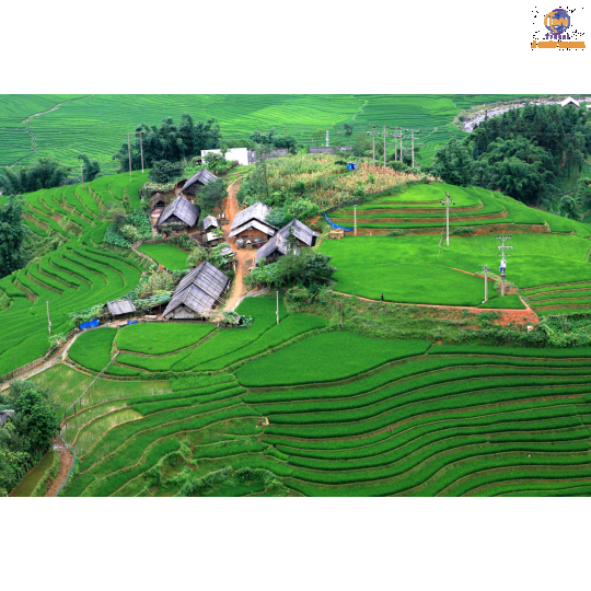 Hà Nội - Lào Cai - SaPa