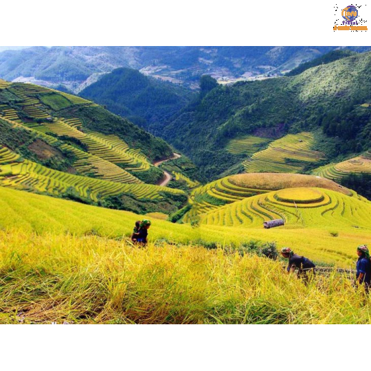 Hà Nội - Lào Cai - SaPa