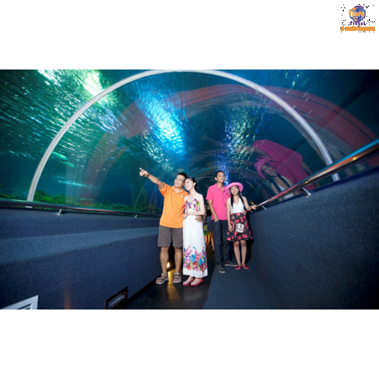 Vinpearl Harbour - Vịnh San Hô - Làng Chài - Hồ Cá Trí Nguyên