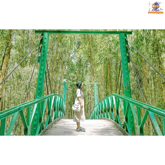 Quần đảo Bà Lụa - Vịnh Hạ Long phương Nam - Rừng Tràm Trà Sư