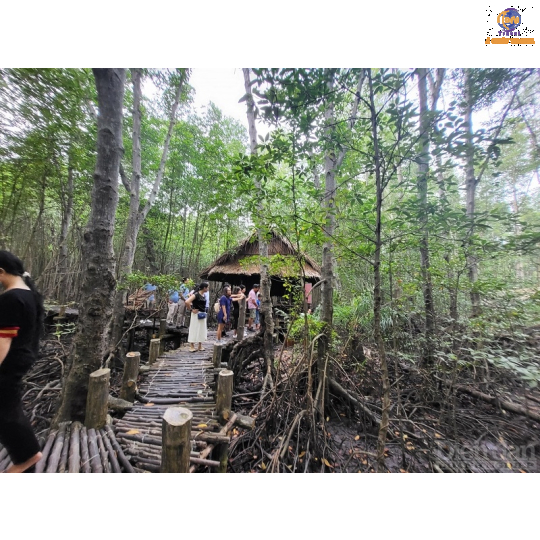 Khám Phá Rừng Sác Cần Giờ